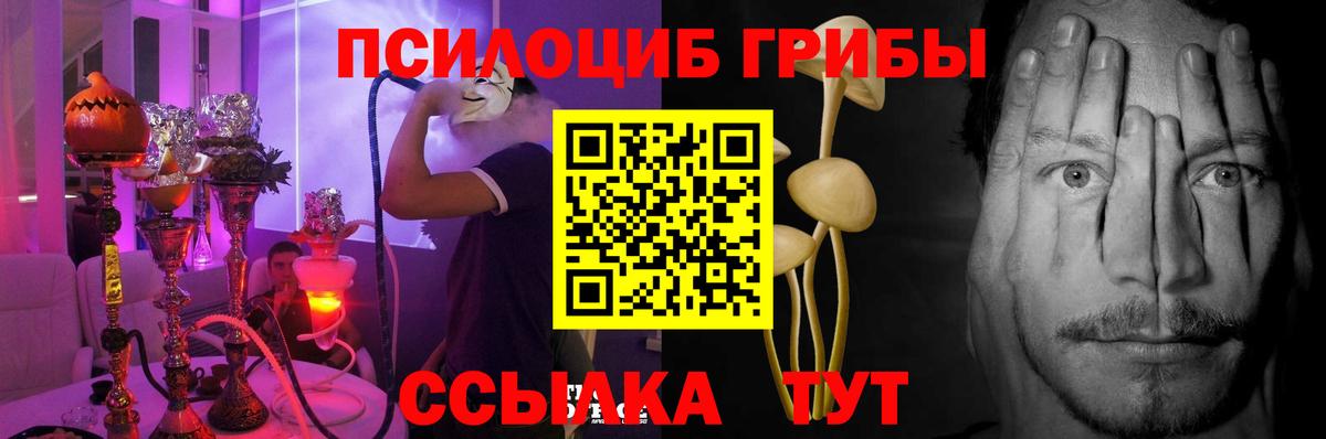 Псилоцибиновые грибы Psilocybe  Галлюциногенные грибы мицелий  Вход с VPN  Бузулук 